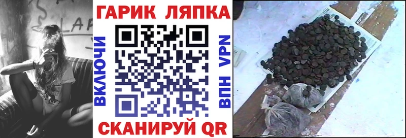 ГАШ гарик  даркнет сайт  Суздаль 