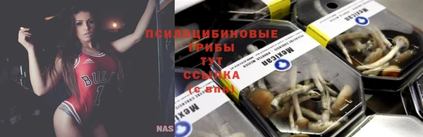 a pvp Надым