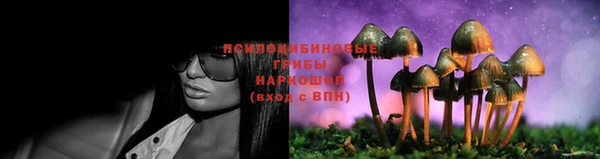 трава Абдулино