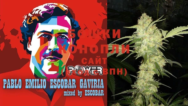 ГАЛЛЮЦИНОГЕННЫЕ ГРИБЫ Навашино