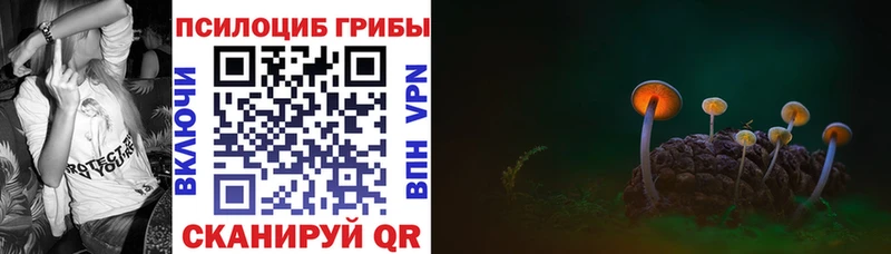 где купить   Суздаль  Галлюциногенные грибы прущие грибы 